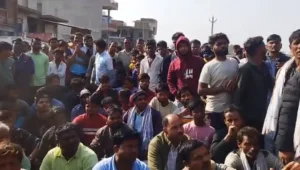 देवगांव-मेहनाजपुर मार्ग पर भीषण सड़क हादसा स्कॉर्पियो पेड़ से टकराकर खेत में पलटी